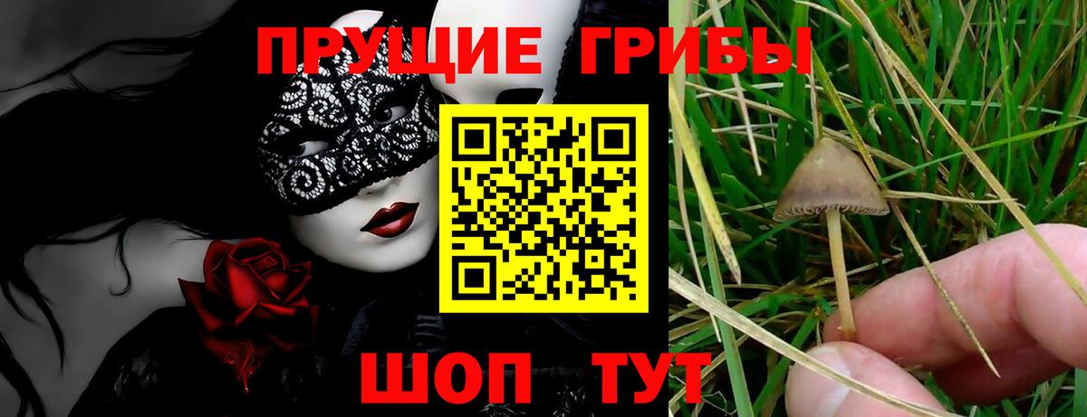 Галлюциногенные грибы GOLDEN TEACHER Верхняя Салда
